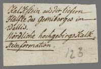 L 01304
<br/>
Label met opschrift
<br/>
<em>Escher von der Linth, Johannes Conrad (1767-1823)</em>